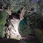Apartamento 4 Pileri Cartabubbo