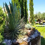 4 Pileri