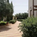 4 Pileri