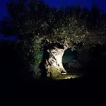 4 Pileri Apartamento