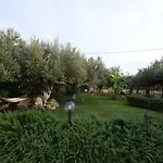 4 Pileri