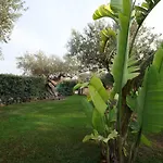 4 Pileri Cartabubbo